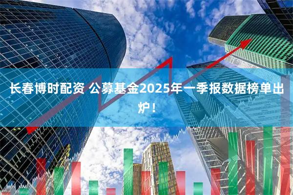 长春博时配资 公募基金2025年一季报数据榜单出炉！