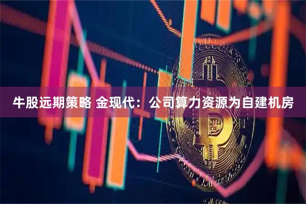 牛股远期策略 金现代：公司算力资源为自建机房