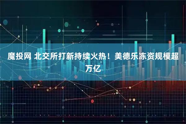 魔投网 北交所打新持续火热！美德乐冻资规模超万亿