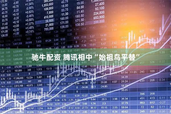 驰牛配资 腾讯相中“始祖鸟平替”