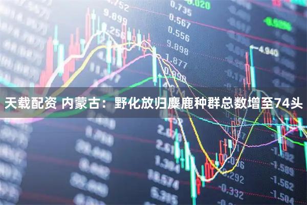 天载配资 内蒙古：野化放归麋鹿种群总数增至74头